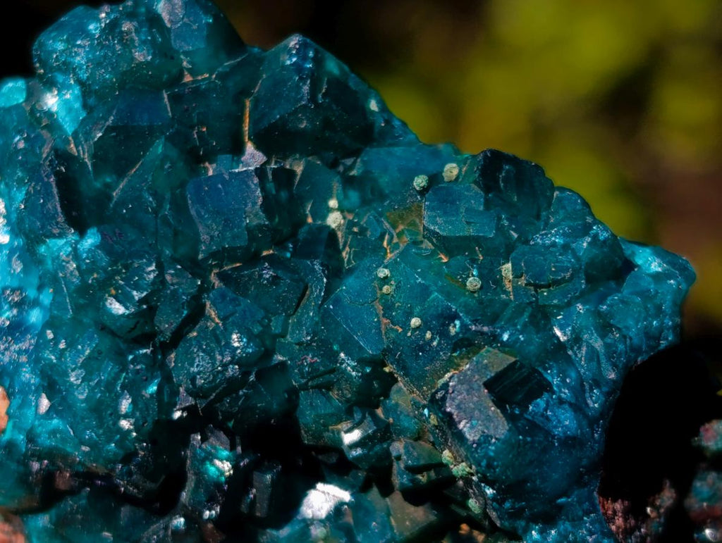Natural Dioptase on Dolomite Specimens x 6 From Mashamba East Mine, Congo - Toprock Gemstones and Minerals 