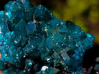 Natural Dioptase on Dolomite Specimens x 6 From Mashamba East Mine, Congo - Toprock Gemstones and Minerals 