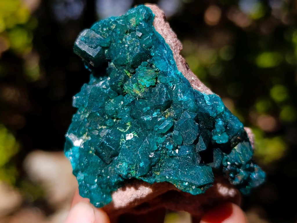 Natural Dioptase on Dolomite Specimens x 6 From Mashamba East Mine, Congo - Toprock Gemstones and Minerals 