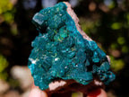 Natural Dioptase on Dolomite Specimens x 6 From Mashamba East Mine, Congo - Toprock Gemstones and Minerals 