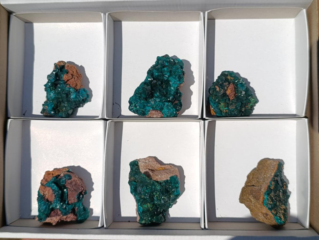 Natural Dioptase on Dolomite Specimens x 6 From Mashamba East Mine, Congo - Toprock Gemstones and Minerals 