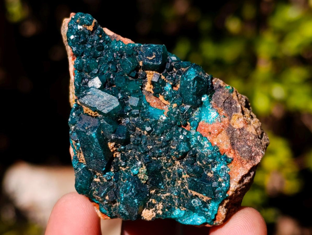 Natural Dioptase on Dolomite Specimens x 6 From Mashamba East Mine, Congo - Toprock Gemstones and Minerals 