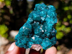Natural Dioptase on Dolomite Specimens x 6 From Mashamba East Mine, Congo - Toprock Gemstones and Minerals 