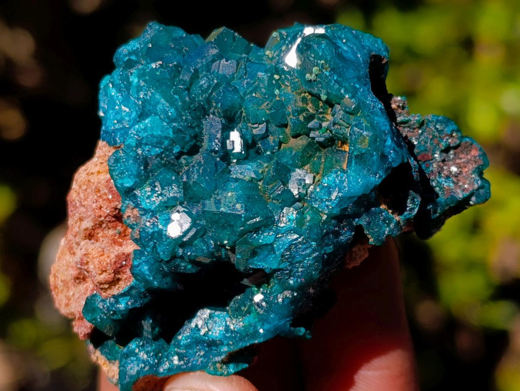 Natural Dioptase on Dolomite Specimens x 6 From Mashamba East Mine, Congo - Toprock Gemstones and Minerals 