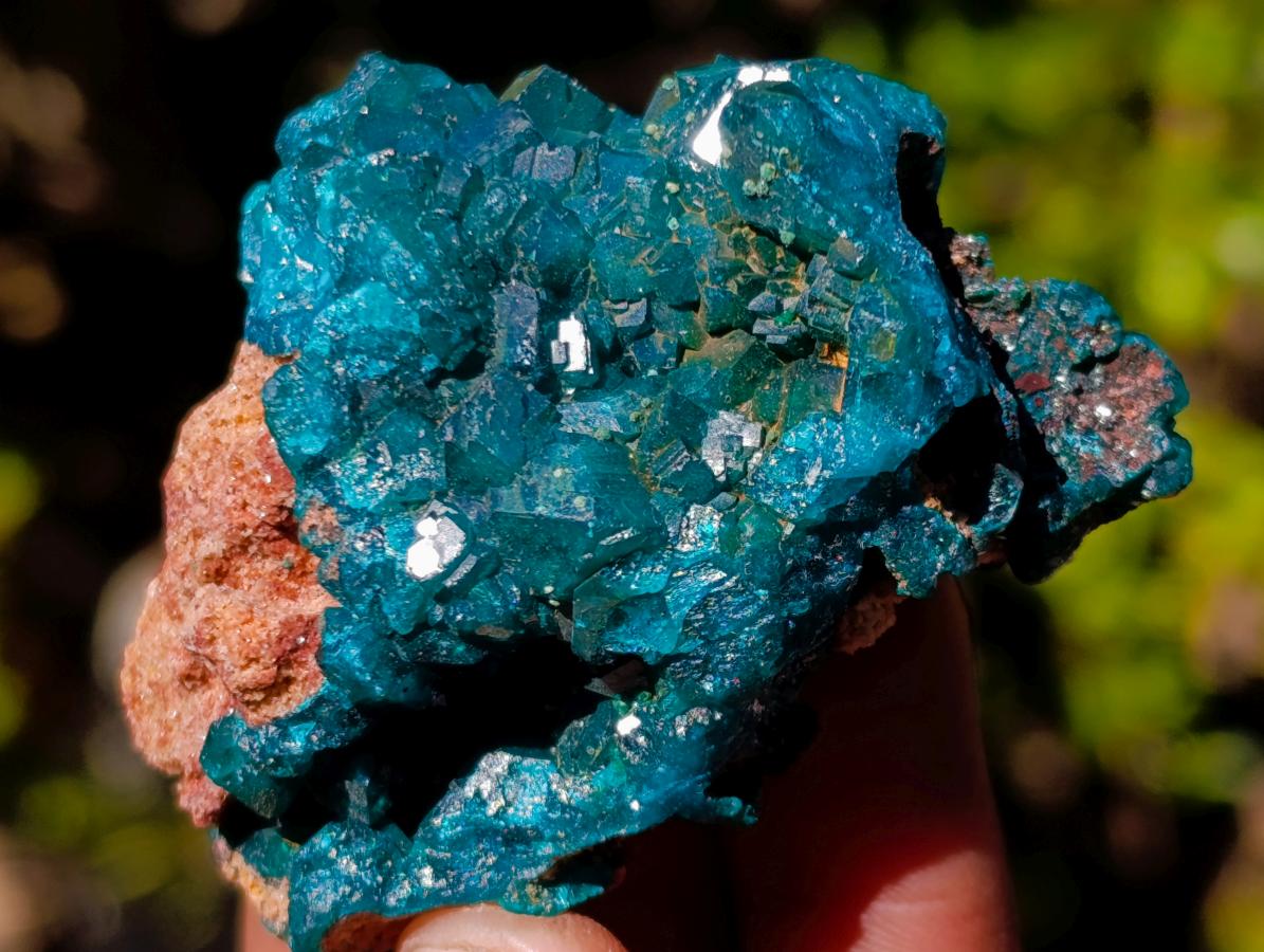 Natural Dioptase on Dolomite Specimens x 6 From Mashamba East Mine, Congo - Toprock Gemstones and Minerals 