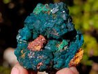 Natural Dioptase on Dolomite Specimens x 6 From Mashamba East Mine, Congo - Toprock Gemstones and Minerals 