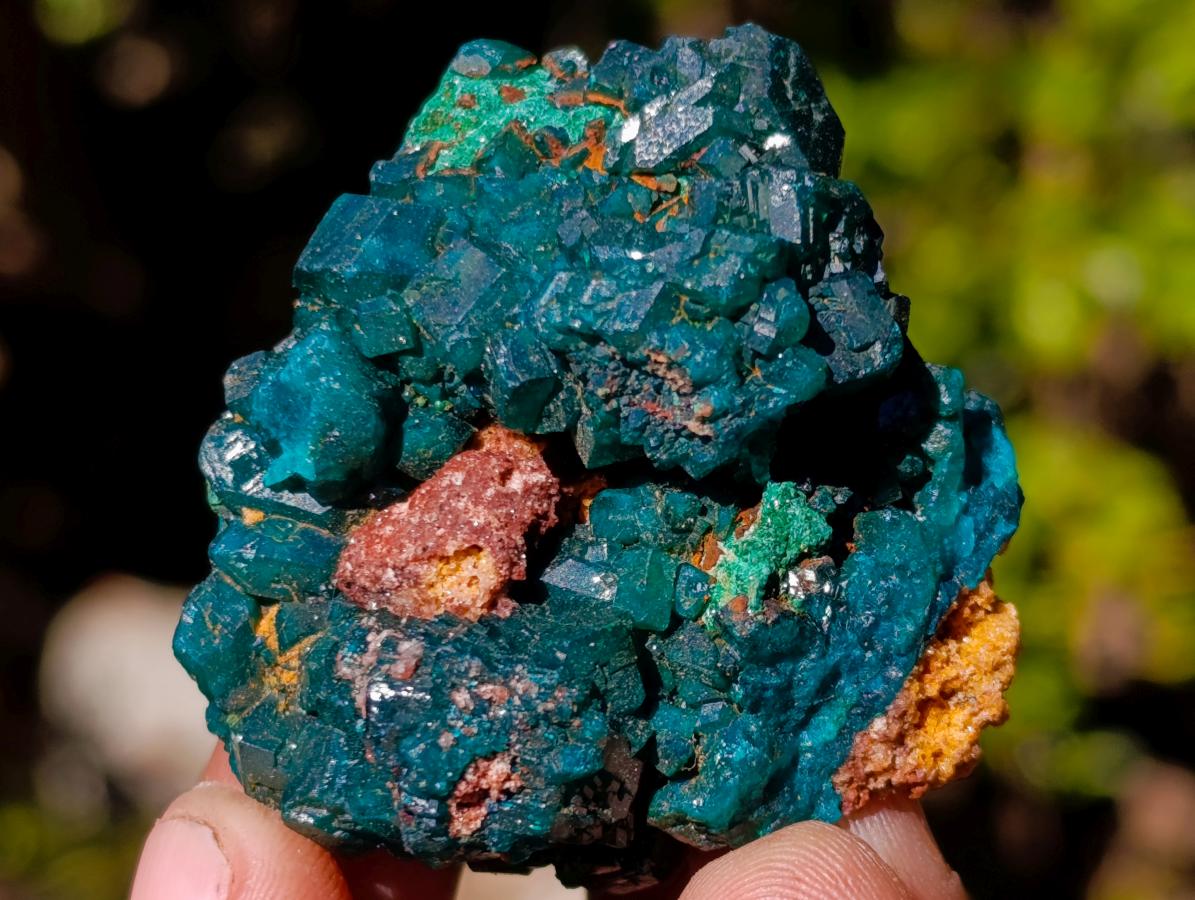 Natural Dioptase on Dolomite Specimens x 6 From Mashamba East Mine, Congo - Toprock Gemstones and Minerals 
