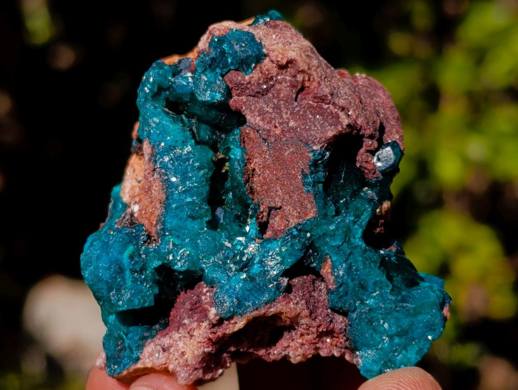 Natural Dioptase on Dolomite Specimens x 6 From Mashamba East Mine, Congo - Toprock Gemstones and Minerals 