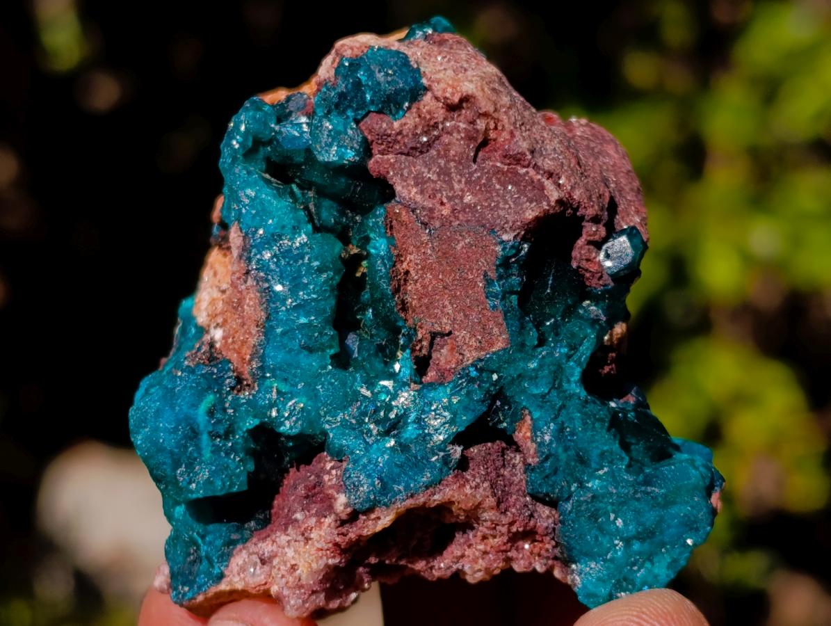 Natural Dioptase on Dolomite Specimens x 6 From Mashamba East Mine, Congo - Toprock Gemstones and Minerals 