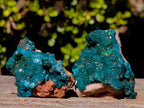 Natural Dioptase on Dolomite Specimens x 6 From Mashamba East Mine, Congo - Toprock Gemstones and Minerals 