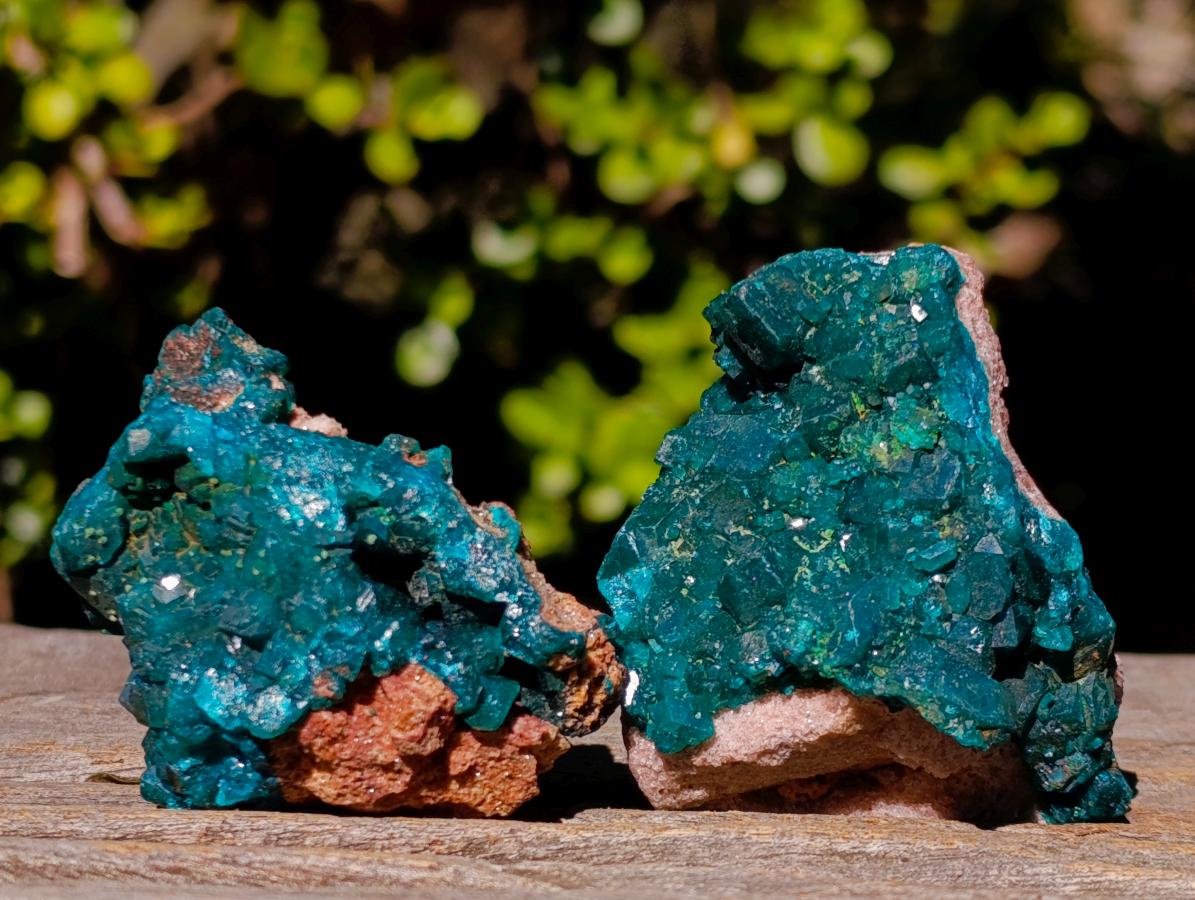 Natural Dioptase on Dolomite Specimens x 6 From Mashamba East Mine, Congo - Toprock Gemstones and Minerals 