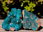 Natural Dioptase on Dolomite Specimens x 6 From Mashamba East Mine, Congo - Toprock Gemstones and Minerals 
