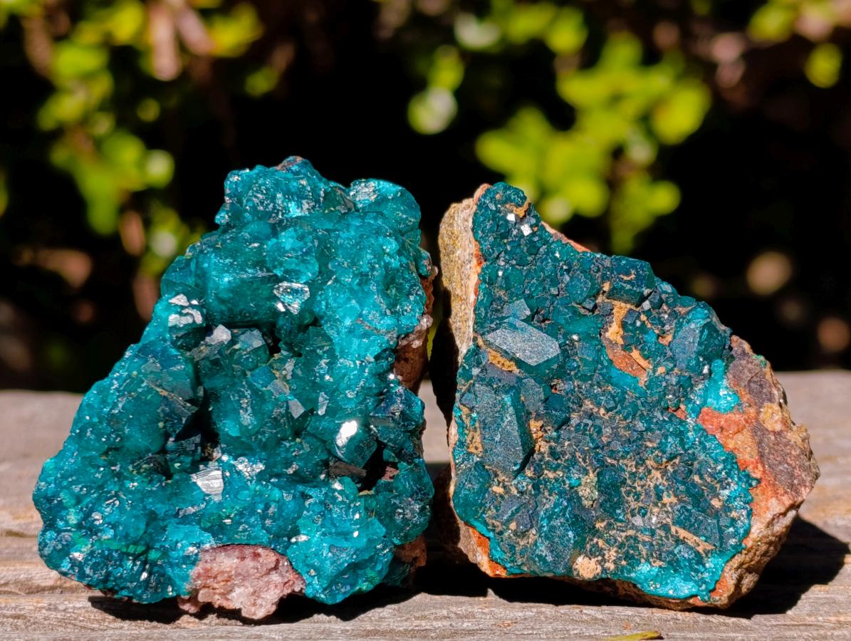 Natural Dioptase on Dolomite Specimens x 6 From Mashamba East Mine, Congo - Toprock Gemstones and Minerals 