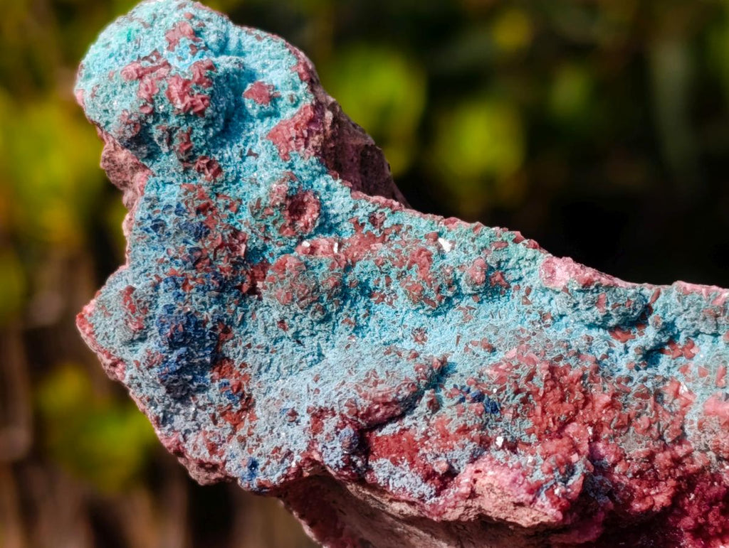 Natural Salrose Cobaltoan Dolomite Specimens with Associated Minerals x 3 From Kakanda, Congo - Toprock Gemstones and Minerals 