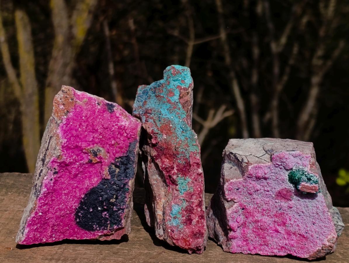Natural Salrose Cobaltoan Dolomite Specimens with Associated Minerals x 3 From Kakanda, Congo - Toprock Gemstones and Minerals 