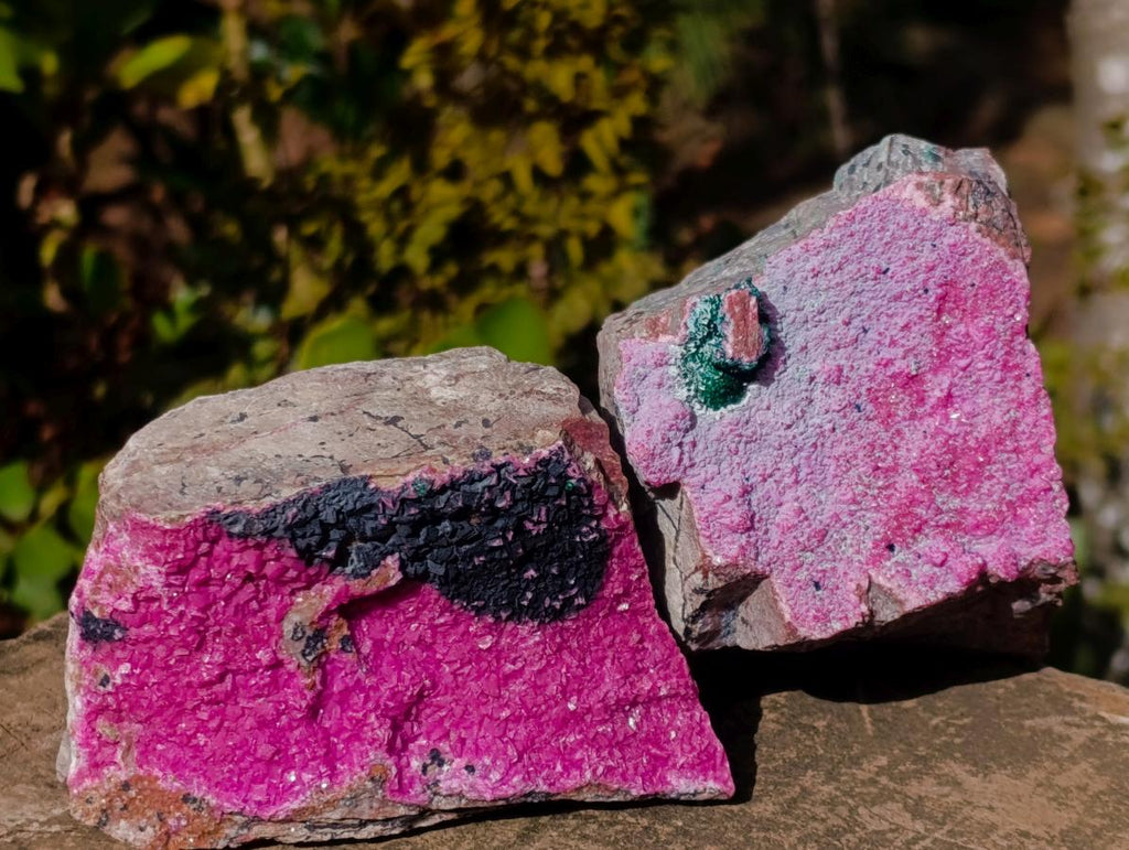 Natural Salrose Cobaltoan Dolomite Specimens with Associated Minerals x 3 From Kakanda, Congo - Toprock Gemstones and Minerals 
