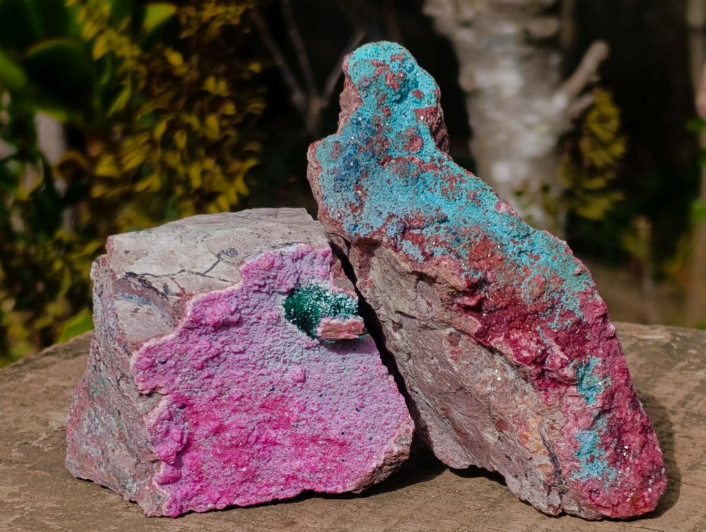 Natural Salrose Cobaltoan Dolomite Specimens with Associated Minerals x 3 From Kakanda, Congo - Toprock Gemstones and Minerals 