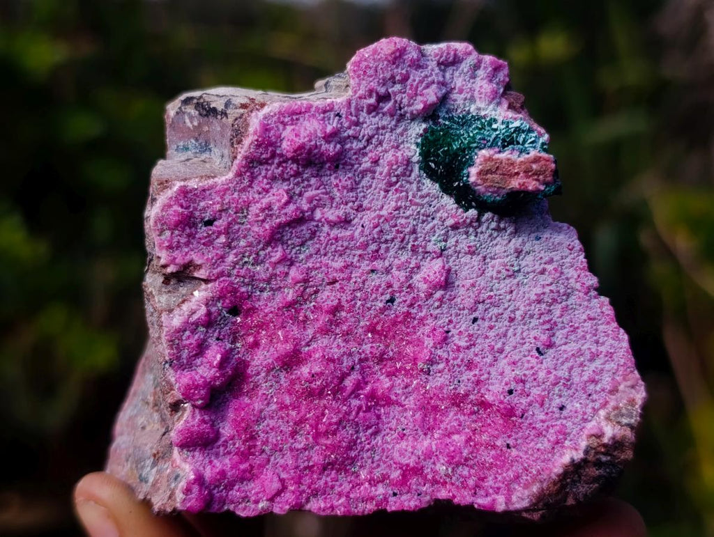 Natural Salrose Cobaltoan Dolomite Specimens with Associated Minerals x 3 From Kakanda, Congo - Toprock Gemstones and Minerals 