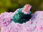 Natural Salrose Cobaltoan Dolomite Specimens with Associated Minerals x 3 From Kakanda, Congo - Toprock Gemstones and Minerals 