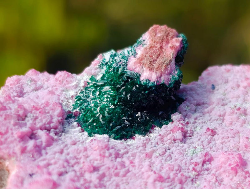 Natural Salrose Cobaltoan Dolomite Specimens with Associated Minerals x 3 From Kakanda, Congo - Toprock Gemstones and Minerals 