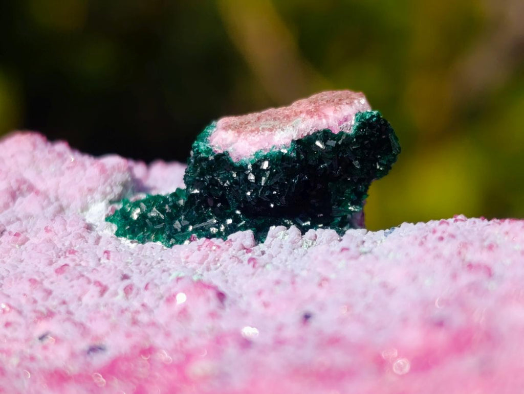 Natural Salrose Cobaltoan Dolomite Specimens with Associated Minerals x 3 From Kakanda, Congo - Toprock Gemstones and Minerals 