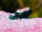 Natural Salrose Cobaltoan Dolomite Specimens with Associated Minerals x 3 From Kakanda, Congo - Toprock Gemstones and Minerals 