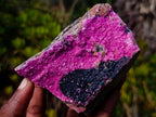 Natural Salrose Cobaltoan Dolomite Specimens with Associated Minerals x 3 From Kakanda, Congo - Toprock Gemstones and Minerals 