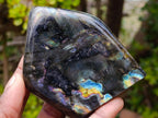 Polished Spectrolite Labradorite Standing Display Pieces x 4 From Madagascar - Toprock Gemstones and Minerals 