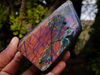 Polished Spectrolite Labradorite Standing Display Pieces x 4 From Madagascar - Toprock Gemstones and Minerals 