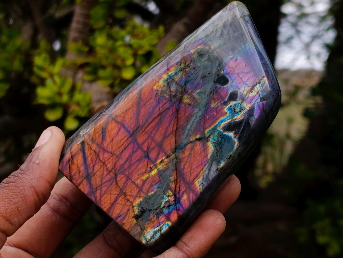 Polished Spectrolite Labradorite Standing Display Pieces x 4 From Madagascar - Toprock Gemstones and Minerals 