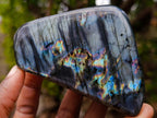 Polished Spectrolite Labradorite Standing Display Pieces x 4 From Madagascar - Toprock Gemstones and Minerals 