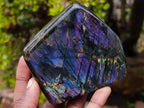 Polished Spectrolite Labradorite Standing Display Pieces x 4 From Madagascar - Toprock Gemstones and Minerals 