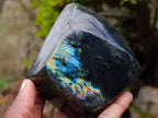 Polished Spectrolite Labradorite Standing Display Pieces x 4 From Madagascar - Toprock Gemstones and Minerals 