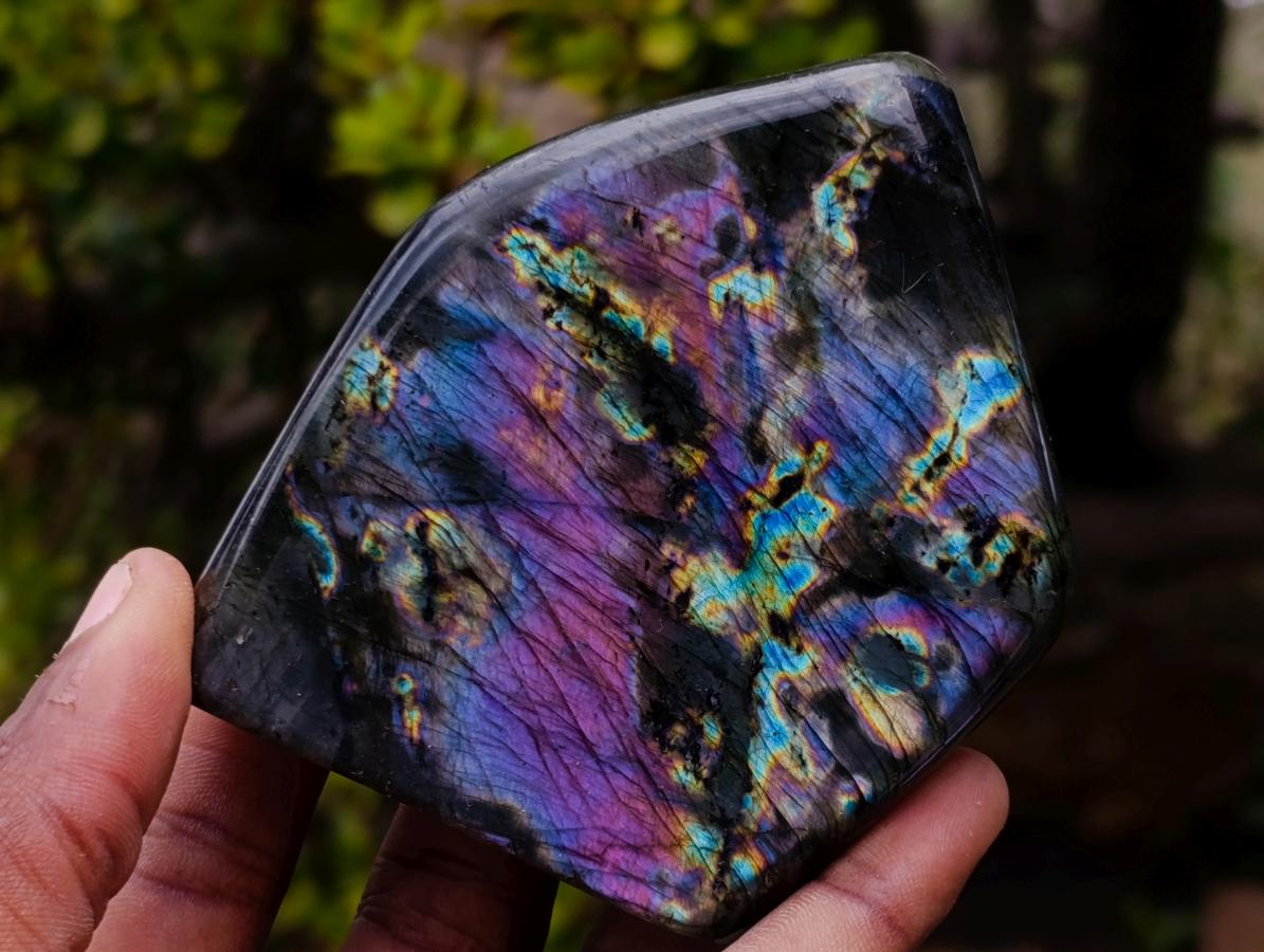 Polished Spectrolite Labradorite Standing Display Pieces x 4 From Madagascar - Toprock Gemstones and Minerals 