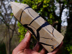 Polished and Natural Septerye Sauvage Display Crystals x 2 From Mahajanga, Madagascar - Toprock Gemstones and Minerals 