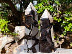Polished and Natural Septerye Sauvage Display Crystals x 2 From Mahajanga, Madagascar - Toprock Gemstones and Minerals 