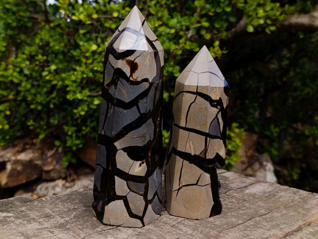 Polished and Natural Septerye Sauvage Display Crystals x 2 From Mahajanga, Madagascar - Toprock Gemstones and Minerals 