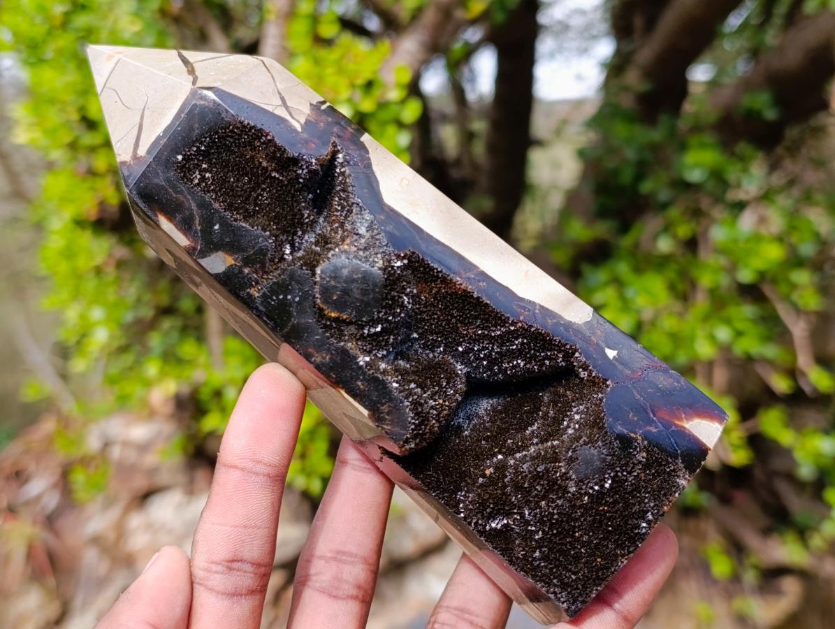 Polished and Natural Septerye Sauvage Display Crystals x 2 From Mahajanga, Madagascar - Toprock Gemstones and Minerals 