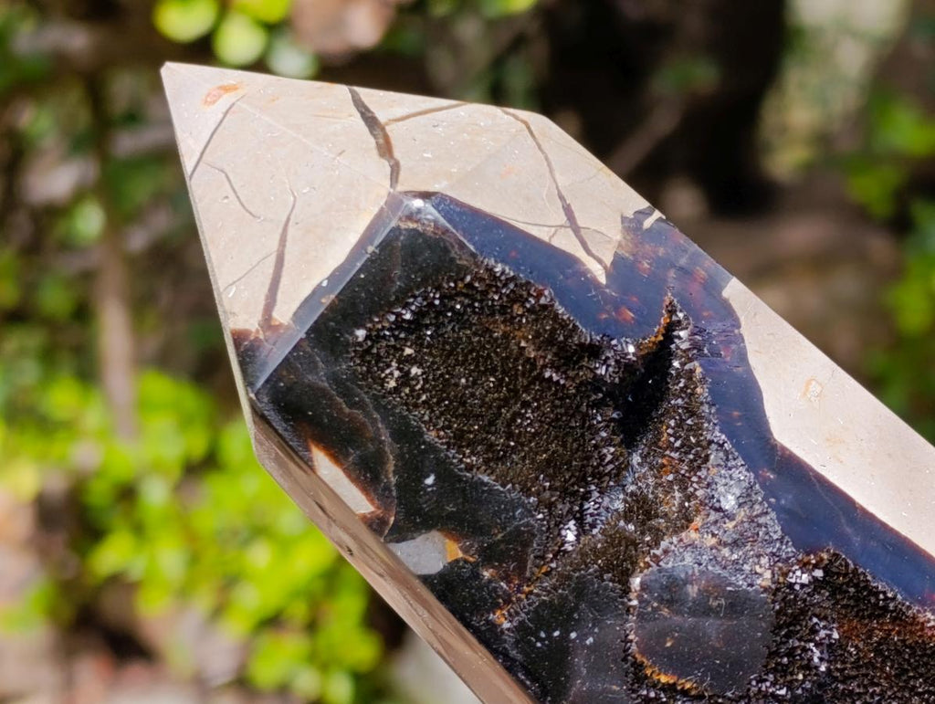 Polished and Natural Septerye Sauvage Display Crystals x 2 From Mahajanga, Madagascar - Toprock Gemstones and Minerals 