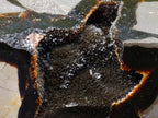 Polished and Natural Septerye Sauvage Display Crystals x 2 From Mahajanga, Madagascar - Toprock Gemstones and Minerals 