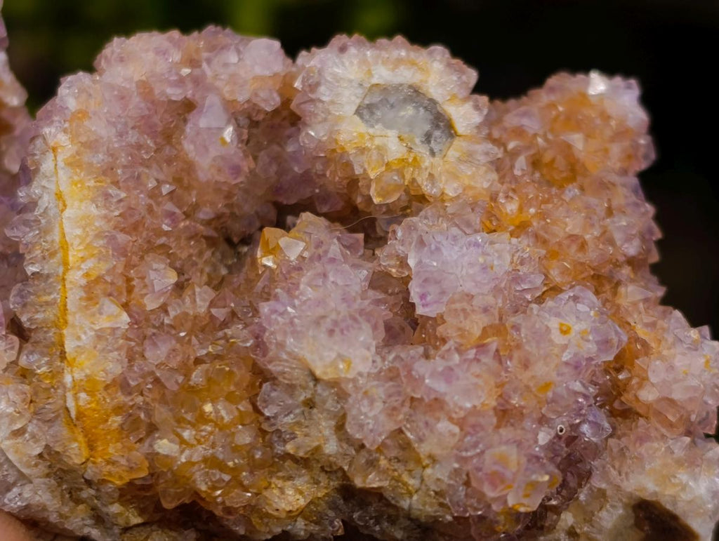 Natural Mix of Spirit Quartz Clusters x 12 From Boekenhouthoek, South Africa - Toprock Gemstones and Minerals 