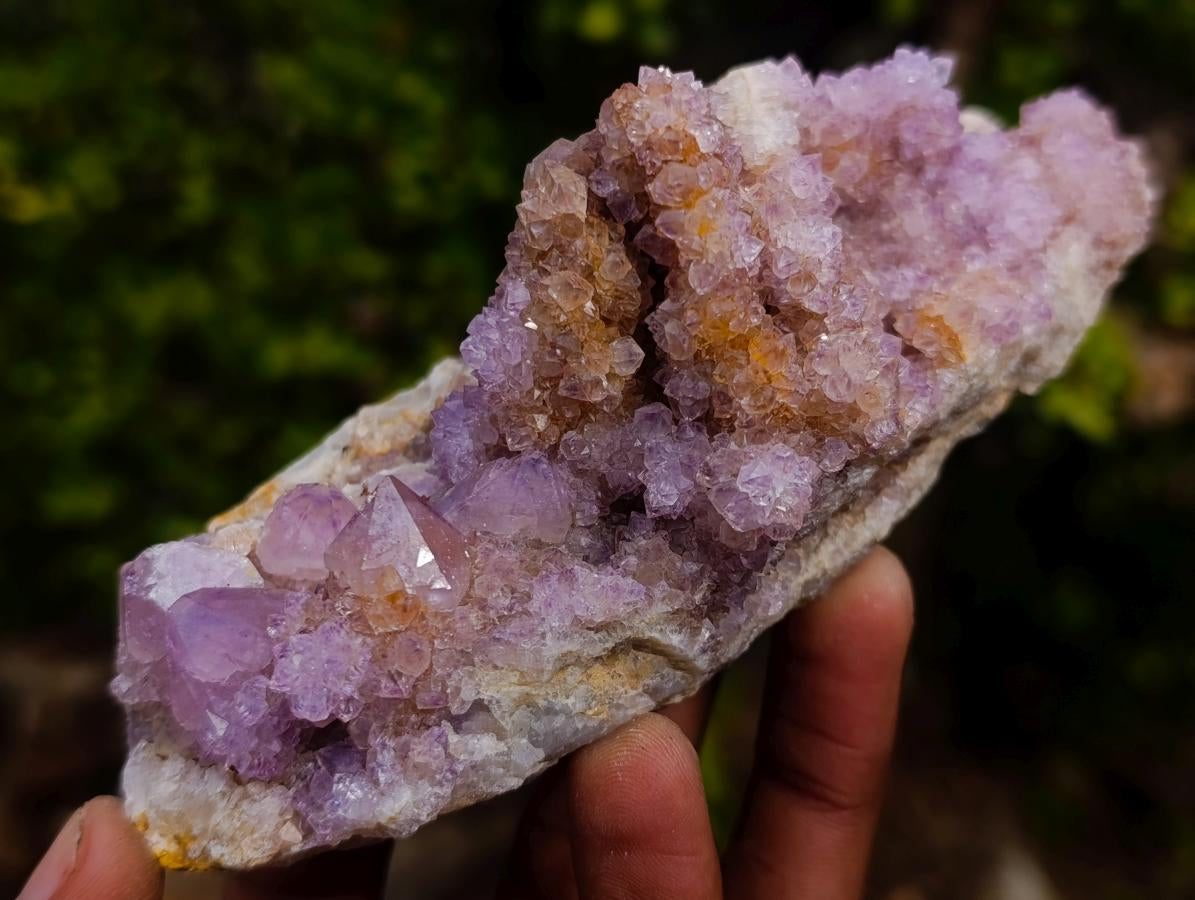 Natural Mix of Spirit Quartz Clusters x 12 From Boekenhouthoek, South Africa - Toprock Gemstones and Minerals 