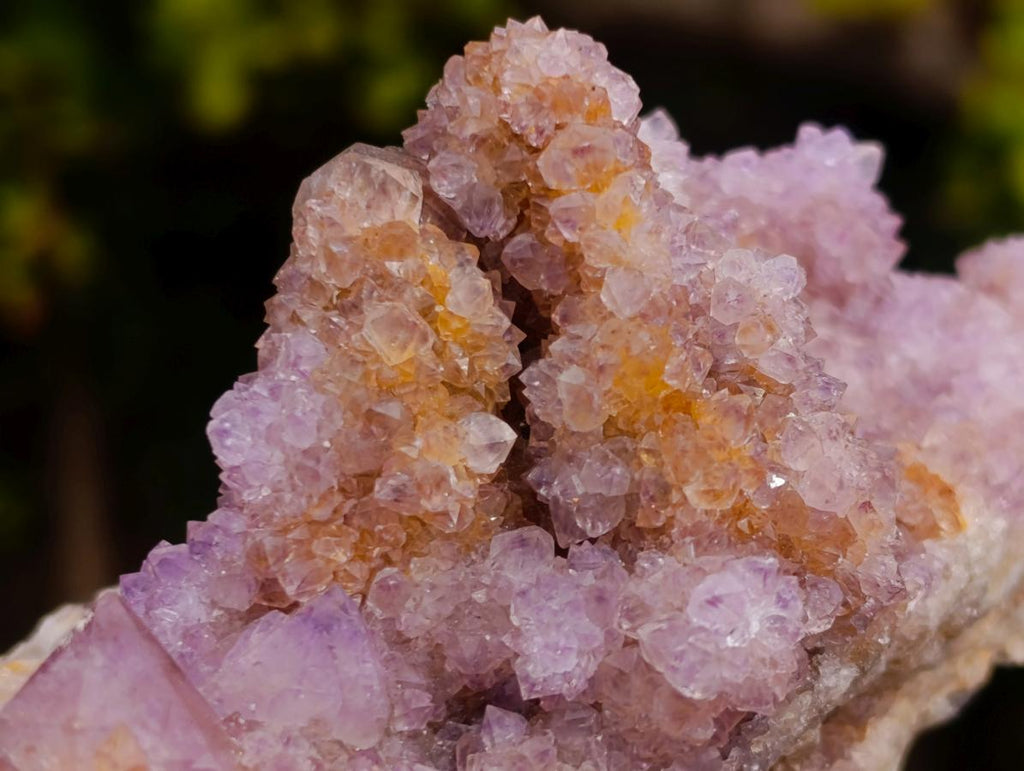 Natural Mix of Spirit Quartz Clusters x 12 From Boekenhouthoek, South Africa - Toprock Gemstones and Minerals 