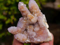 Natural Mix of Spirit Quartz Clusters x 12 From Boekenhouthoek, South Africa - Toprock Gemstones and Minerals 