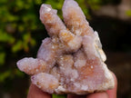 Natural Mix of Spirit Quartz Clusters x 12 From Boekenhouthoek, South Africa - Toprock Gemstones and Minerals 