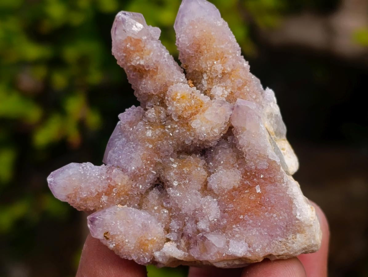 Natural Mix of Spirit Quartz Clusters x 12 From Boekenhouthoek, South Africa - Toprock Gemstones and Minerals 