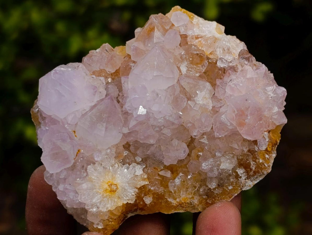 Natural Mix of Spirit Quartz Clusters x 12 From Boekenhouthoek, South Africa - Toprock Gemstones and Minerals 