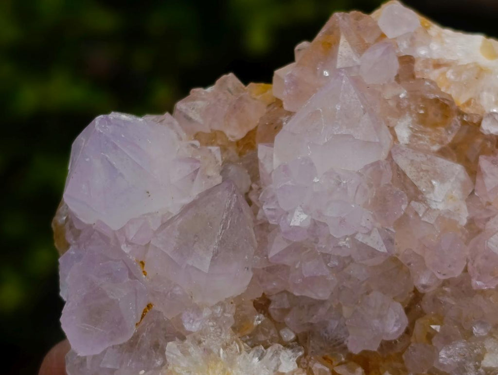 Natural Mix of Spirit Quartz Clusters x 12 From Boekenhouthoek, South Africa - Toprock Gemstones and Minerals 