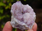 Natural Mix of Spirit Quartz Clusters x 12 From Boekenhouthoek, South Africa - Toprock Gemstones and Minerals 