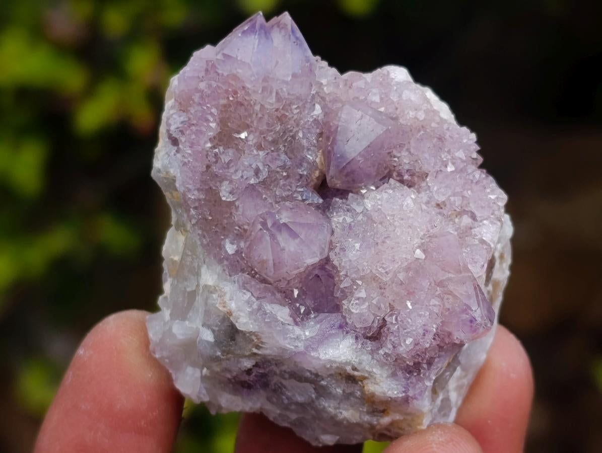Natural Mix of Spirit Quartz Clusters x 12 From Boekenhouthoek, South Africa - Toprock Gemstones and Minerals 